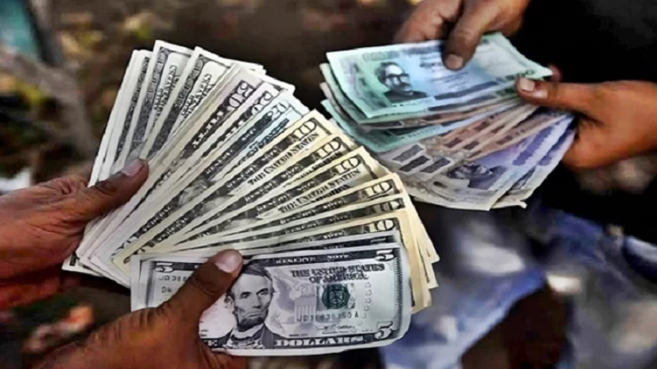 dollar-2506221406
